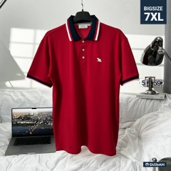Áo Polo Bigsize Màu Đỏ Thêu Gấu Phối cổ 3 màu