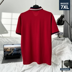 Áo Polo Bigsize Màu Đỏ Thêu Gấu Phối cổ 3 màu