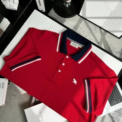 Áo Polo Bigsize Màu Đỏ Thêu Gấu Phối cổ 3 màu
