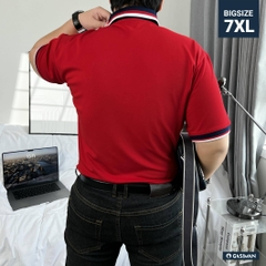 Áo Polo Bigsize Màu Đỏ Thêu Gấu Phối cổ 3 màu