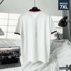 Áo Polo Bigsize Màu Trắng Thêu Gấu Phối cổ 3 màu