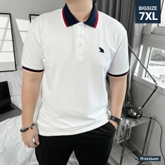 Áo Polo Bigsize Màu Trắng Thêu Gấu Phối cổ 3 màu