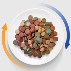 Thức ăn Biozym Red Worm Tab – viên dán sâu đỏ