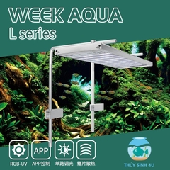 Đèn thủy sinh Week L Pro - Chỉnh APP led RGB-UV màu sắc siêu đẹp