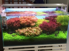 Đèn thủy sinh Week L Pro - Chỉnh APP led RGB-UV màu sắc siêu đẹp