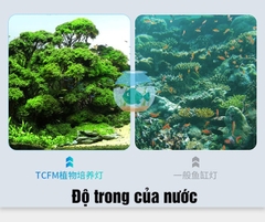 Đèn thủy sinh TCFM – Frok cho bể cá, hồ thủy sinh mini