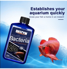 Vi sinh sống Biozym Bacteria For Arowana - cho cá Rồng và cá săn mồi