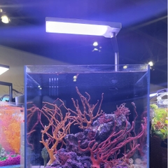 Đèn thủy sinh Funlux Nano RGB 15W cao cấp  Bảo hành Việt Nam