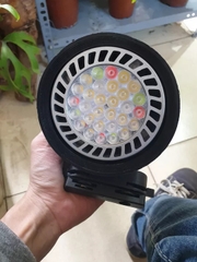 Đèn rọi ray bán cạn WRGB 45W giúp cây lên màu cực đẹp