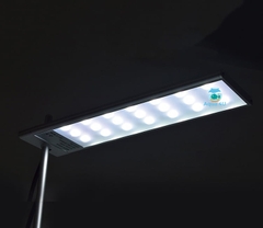 Đèn Week S Series Pro chính hãng