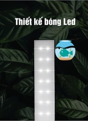 Đèn thủy sinh TCFM – Frok cho bể cá, hồ thủy sinh mini