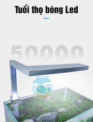 Đèn thủy sinh TCFM – Frok cho bể cá, hồ thủy sinh mini