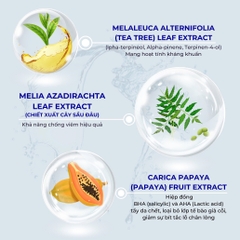 Serum hỗ trợ xử lý mụn Anti-Ance Adecyn