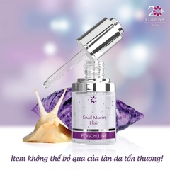 Snail Concentrate - Tinh chất tái tạo và phục hồi 15ml