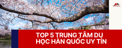 TOP 5 TRUNG TÂM DU HỌC HÀN QUỐC UY TÍN