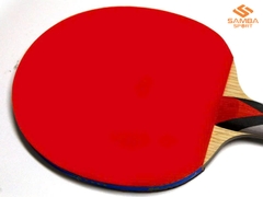 Vợt bóng bàn Double Fish 4A+C