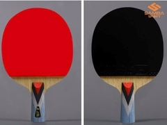 Vợt bóng bàn Double Fish 4A+C