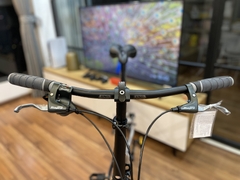 Xe đạp gấp ráp theo yêu cầu Fnhon Monsoon 20' phanh đĩa màu Silver