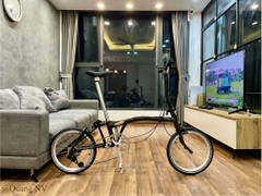 Xe đạp gấp Aceoffix Ace01