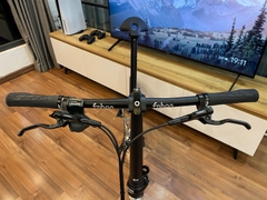 Xe đạp gấp ráp theo yêu cầu Fnhon Blast 20' phanh đĩa màu Silver