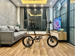 Xe đạp gấp Fnhon Gust 16' phanh đĩa