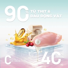 Thức ăn hạt cho mèo con Churro C90K - PetQ