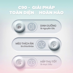 Thức ăn hạt cho mèo con Churro C90K - PetQ