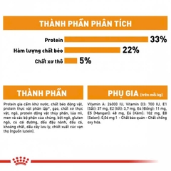 RC - Persiant Adult - HAIR & SKIN – Chăm sóc da và lông
