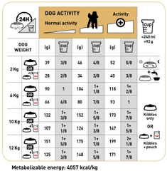 Thức ăn hạt cho chó Poodle trưởng thành - Royal Canin