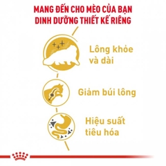 RC - Persiant Adult - Dành cho mèo lông dài