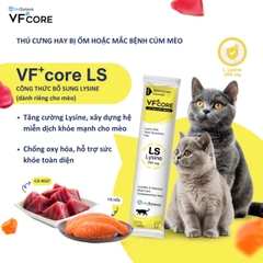 Súp thưởng VF Core L-Lysine
