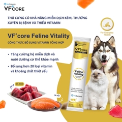 Súp thưởng VF Core Feline Vitality