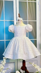 Váy Công Chúa Phát Sáng Cho Bé PS01