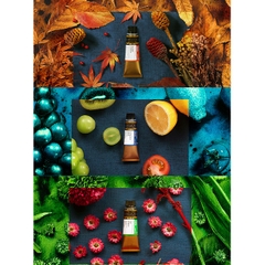 ✨Mijello 15ml ✨ P1 Tone vàng cam đỏ Màu nước Mijello Mission Gold Hàn Quốc