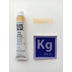 Màu nước Shinhan Professional 48 màu 7,5ml