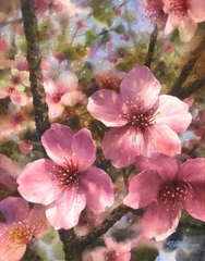 ✨Sennelier 10ml 98+2 Hộp gỗ ✨ Màu nước cao cấp Sennelier Pháp