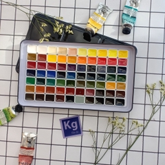 Pocket Màu nước Renesans Ba Lan Intense 70 mã màu