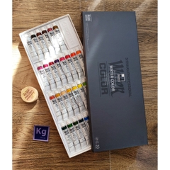 Màu nước Shinhan Professional 48 màu 7,5ml
