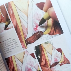 ❄❄Quân Tử Hoa- Mỹ Nữ Hoa - Nghệ thuật vẽ màu nước cổ trang ❄❄