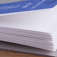 Giấy Vẽ Canson 1557 300gsm 🎁Quà tặng Giấy Vẽ gouache acrylic chì 🎁