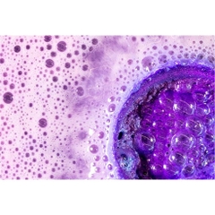 Bơ tắm Lush Garden