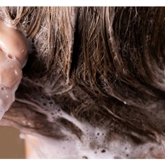 Dầu gội rắn Lush New