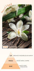 Nước Hoa Sen Hương Ong Tự Nhiên Enprani