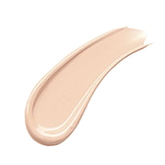 Phấn nền The SAEM 30ml