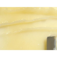 Son dưỡng D'Alba Trà trắng