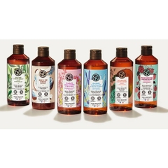 Sữa tắm Yves Rocher Coco