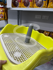 Khay vệ sinh cho chó có thành cửa ngang