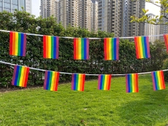 Dây cờ cầu vồng LGBT lục sắc