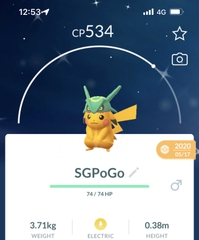 Shiny Pikachu Rayquaza hat