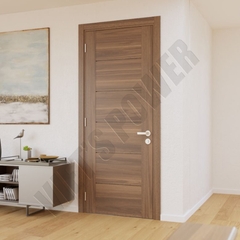 Cửa phẳng phủ Veneer có soi  âm
